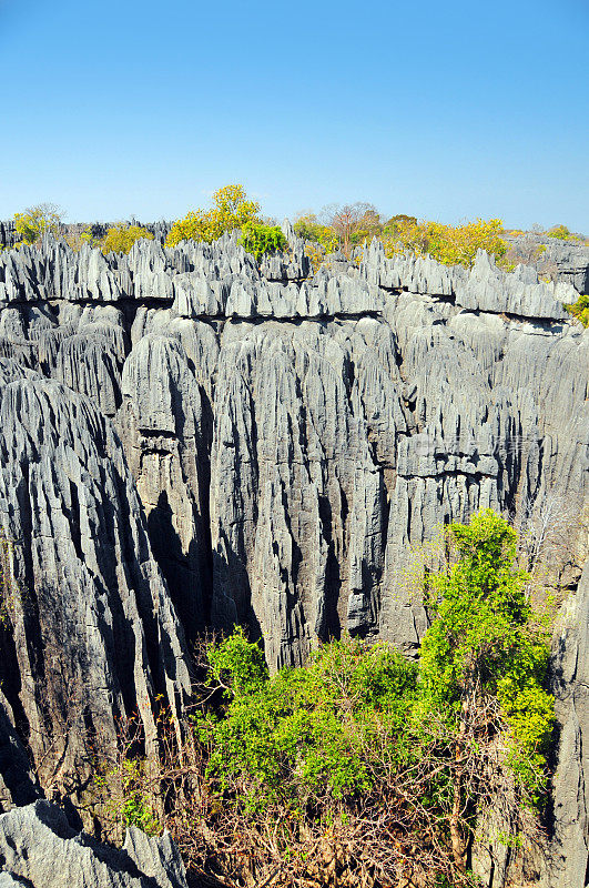 马达加斯加的Tsingy de Bemaraha